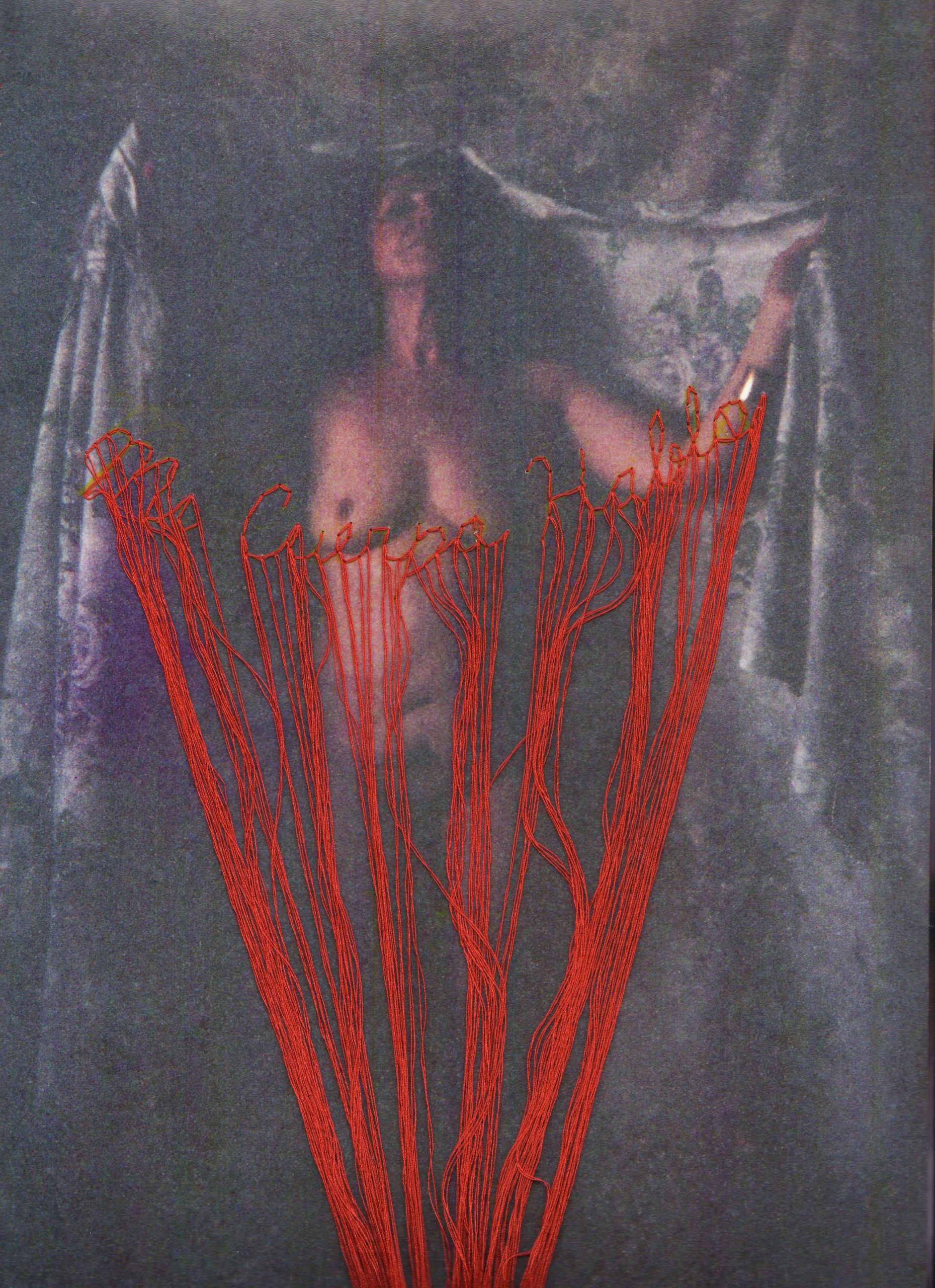 74 Nudos 17